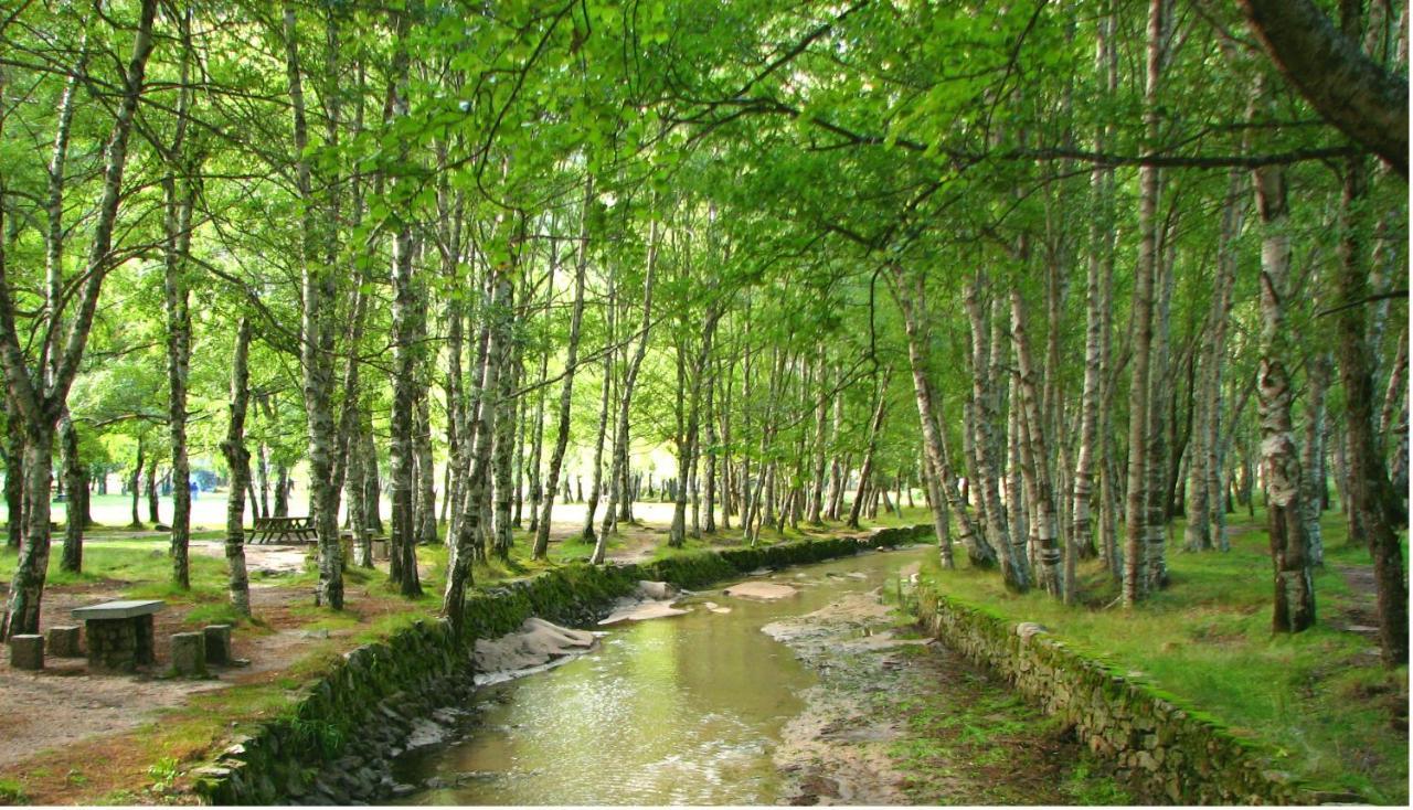 Mountain Cottage, Serra Da Estrela Covilha Ngoại thất bức ảnh